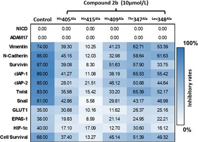 Frontiers Novel Structured ADAM17 Small Molecule Inhibitor Represses